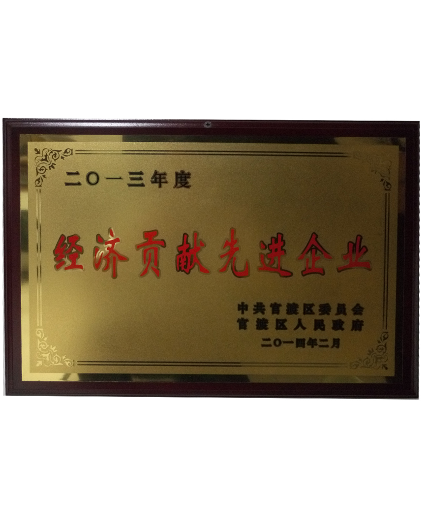 2013年經(jīng)濟(jì)貢獻(xiàn)先進(jìn)企業(yè)